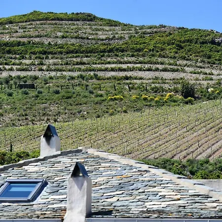 Ξενοδοχείο U Patriarcu 2*