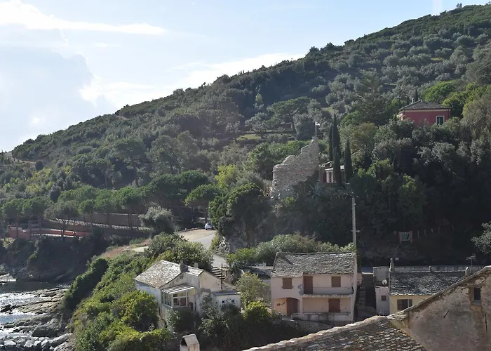 Ξενοδοχείο U Patriarcu Cagnano